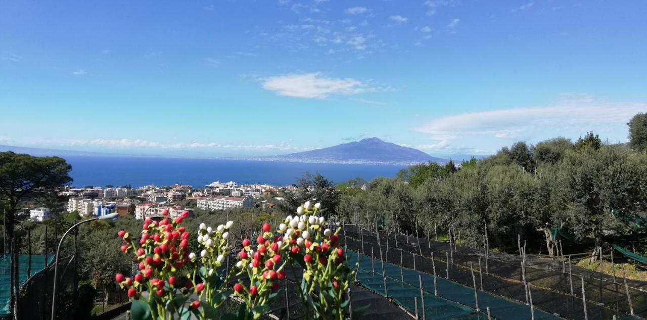 Sorrento Dolce Casa Lägenhet Exteriör bild