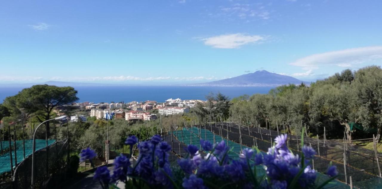 Sorrento Dolce Casa Lägenhet Exteriör bild