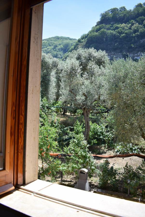 Sorrento Dolce Casa Lägenhet Exteriör bild